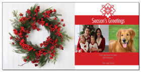 Red Christmas Berries Cards with multiple photo 8